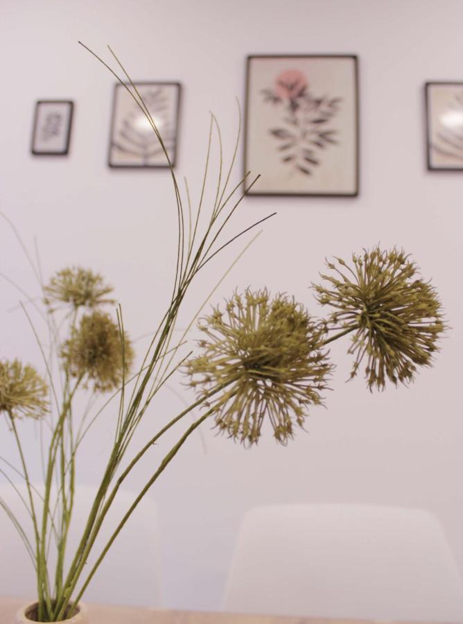 Cuenca Home 外观 照片
